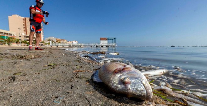 El Instituto Catalán de Investigación del Agua alerta que en 2050 habrá más plástico que peces