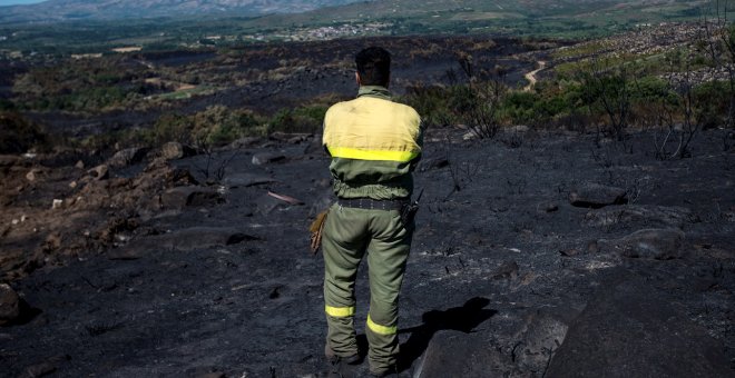 Un incendio sin control quema 20 hectáreas en Ourense