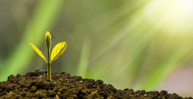 Pato confinado - Homenaje a un agricultor responsable