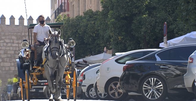 Cocheros de caballos de Sevilla afrontan un verano complicado sin turistas