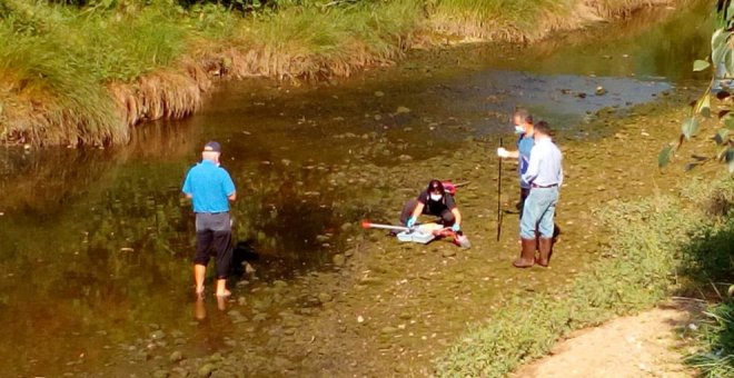 Tomadas las muestras en la ría de Brazomar para determinar las causas de la muerte del grupo de patos encontrados en sus aguas