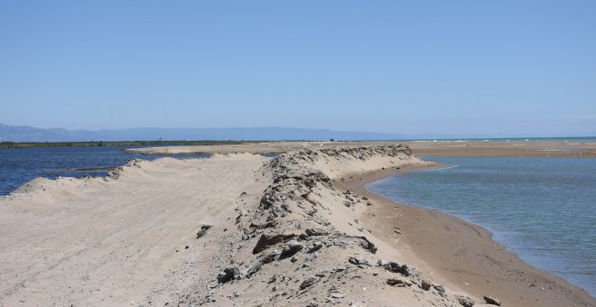 Seis meses después del Gloria, el Delta del Ebro espera soluciones