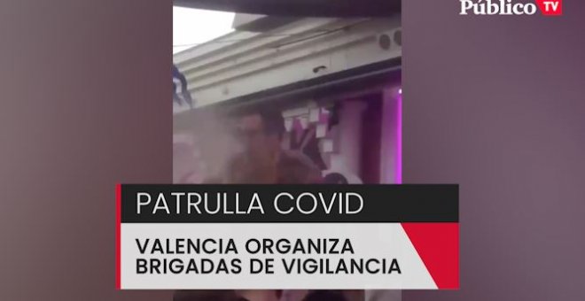 Brigadas 'anticovid' en la Comunitat Valenciana