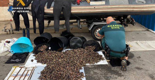 Cuatro investigados tras capturar sin licencia más de 100 kilos de percebes