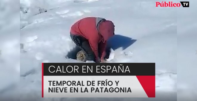 Rescatando ovejas sepultadas bajo la nieve