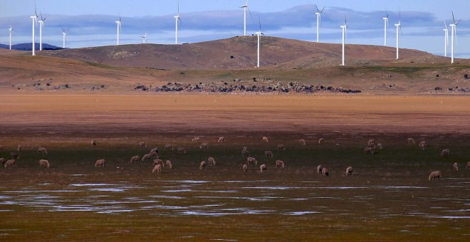 Iberdrola se hace con el control de Infigen