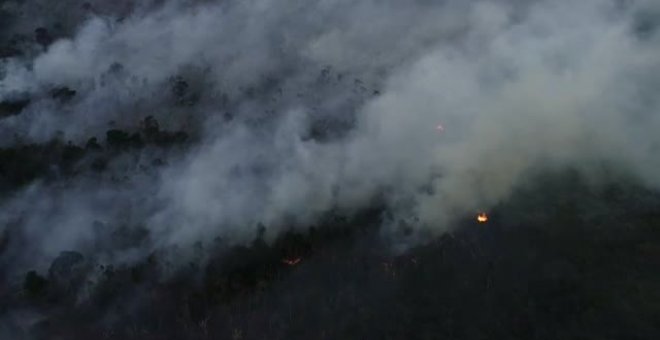 Incendios, de nuevo, en el Amazonas