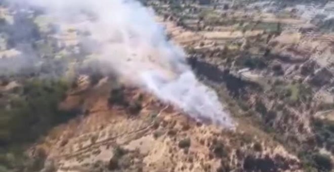 Estabilizado el incendio que se originó ayer en la Alpujarra granadina