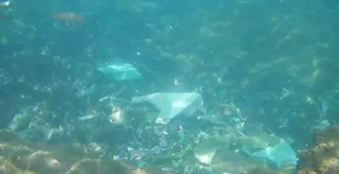 El mar de Melilla está llena de plásticos