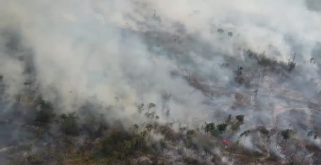 El Amazonas registra el inicio de agosto con el mayor número de incendios en 10 años