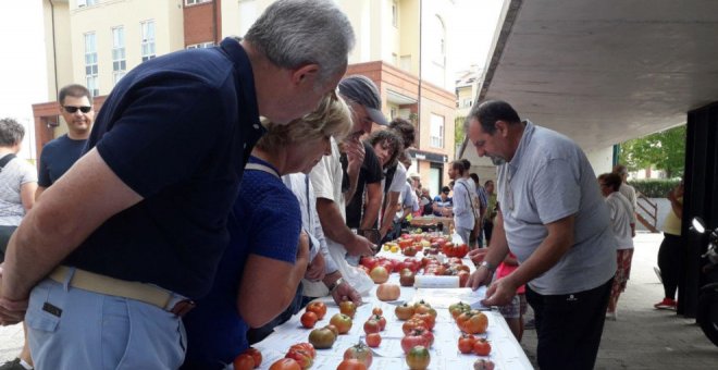 El Ayuntamiento celebrará la II Feria Nacional del Tomate Antiguo el 29 de agosto