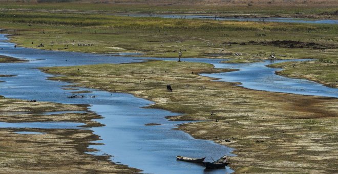 Proyecto inédito busca rescatar las regiones más secas de América Latina