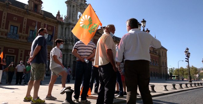 Una caravana en Sevilla reclama "precios justos" para la aceituna de mesa