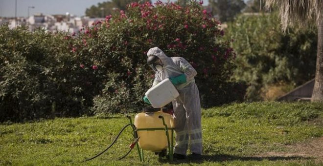 Ascienden a 40 los sospechosos de tener el virus de la Fiebre del Nilo en Sevilla y ya son 28 las muestras positivas