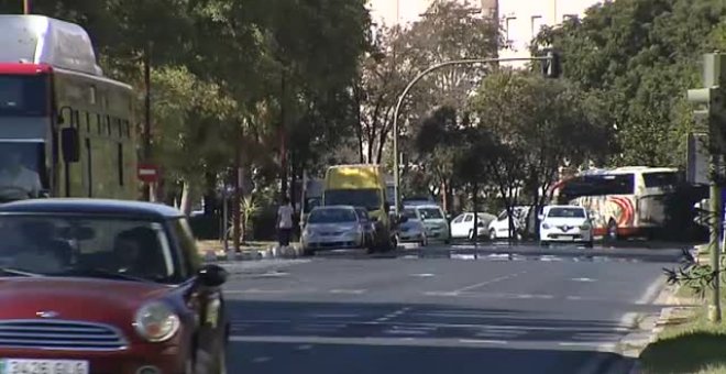 La Junta reconoce que uno de los 45 afectados por el virus del Nilo se localiza en Sevilla capital