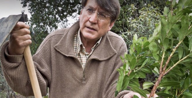 Joaquín Araújo, el hombre-árbol que nos enseña a ver el bosque