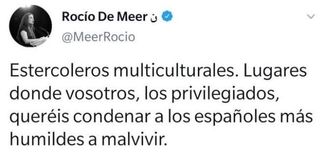 "Lo que convierte a mi barrio en un estercolero es el odio que siembran Rocío de Meer y los suyos": Twitter censura a una diputada de Vox por su racismo