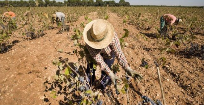 Ideas para una nueva agricultura de secano y contra el suicidio hídrico