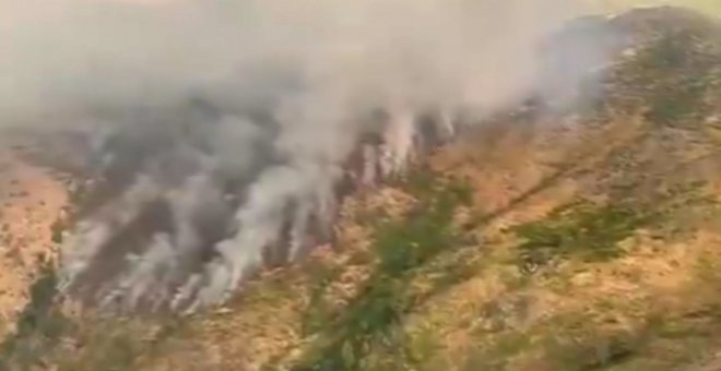 Incendio Forestal en en el Collado de las Yeguas, en Jerte