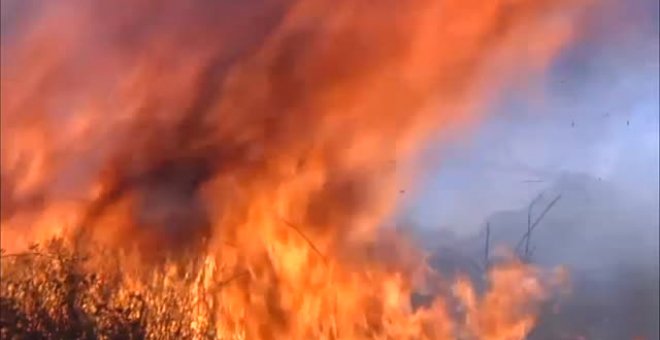 9.000 hectáreas carbonizadas en Huelva en el peor incendio del verano en España