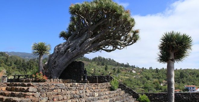 Aire libre para el nuevo curso: Turismo rural que revitalice zonas incendiadas