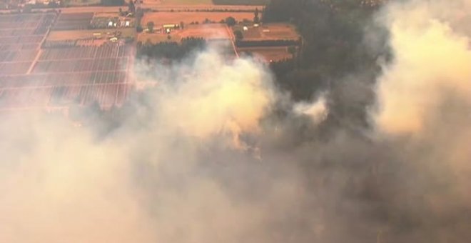 Alerta en EEUU por 85 incendios en la costa de Oregon