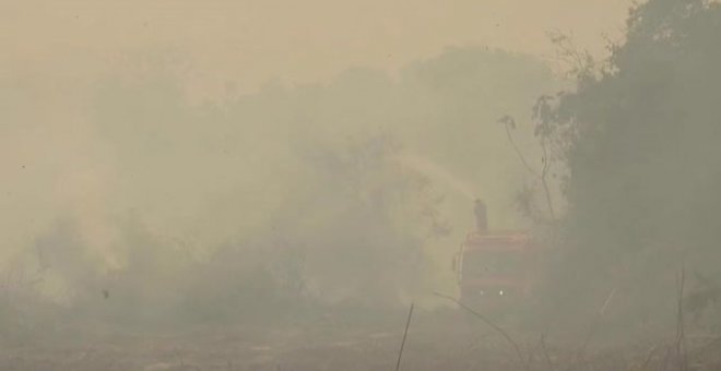 Los incendios en el Pantanal alcanzan niveles récord