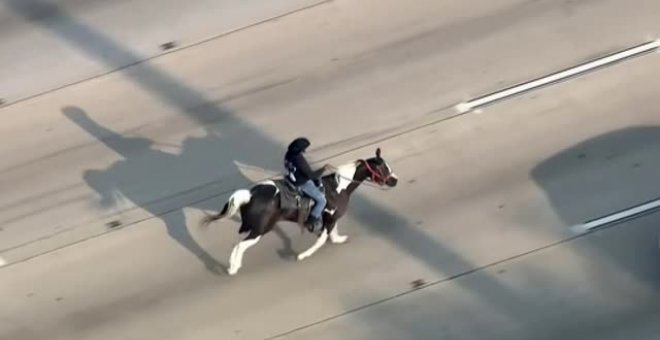 Protesta a caballo en una autopista de Chicago en hora punta para denunciar las necesidades de los niños