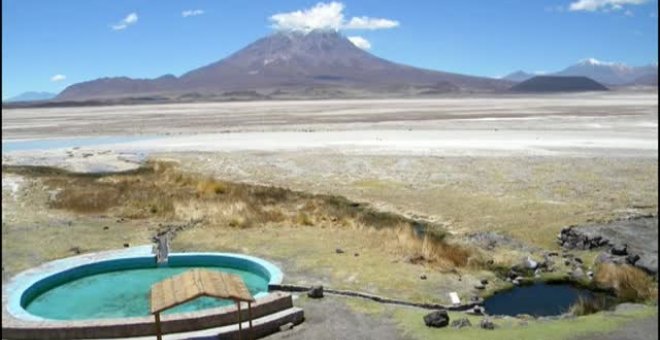 Localizan en Chile una especie de rana que consideraban desaparecida desde hace 80 años