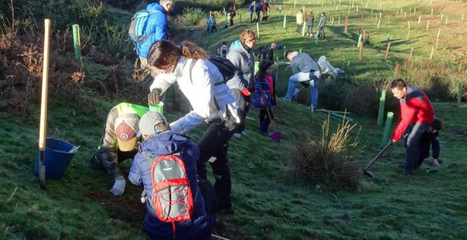 Ayuntamiento y Bosques de Cantabria colaboran para plantar árboles contra el cambio climático