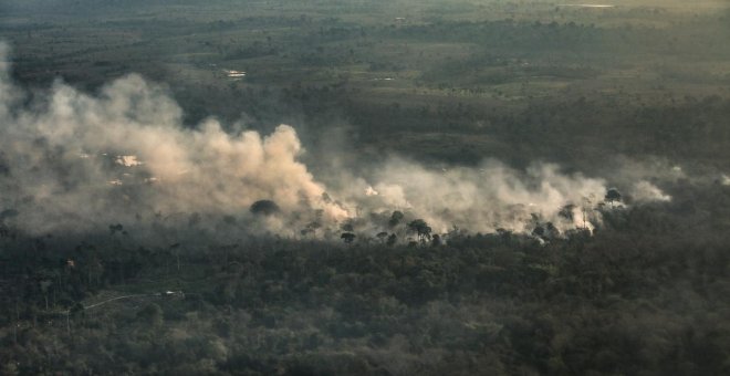 Seis medidas urgentes para detener la destrucción de la Amazonia