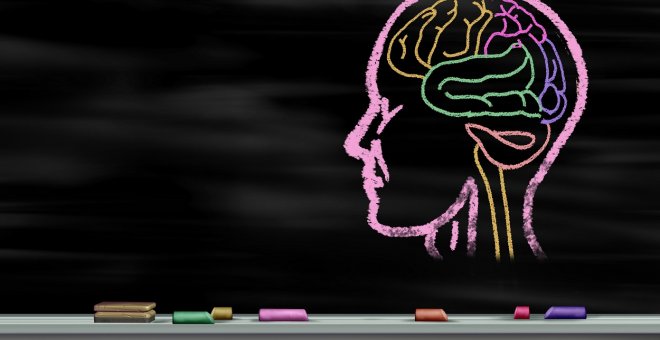 Otras miradas - Conocer bien el cerebro nos enseña a mejorar el aprendizaje