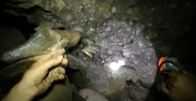 Descubren un hueso de mastodonte en una mina casera de oro de Colombia