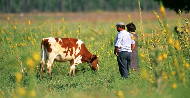 Necesitamos un cambio urgente en nuestro sistema alimentario