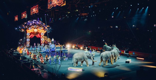 Francia prohibirá animales salvajes en los circos y la cría del visón para peletería