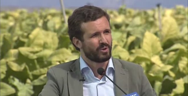 Casado señala van a cumplir con la ley "aunque sea a la carta contra el PP, tardía e injusta"