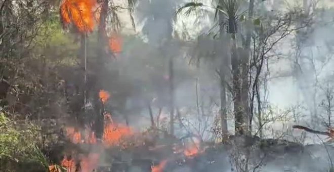 Los incendios arrasan la región del Chaco en Paraguay
