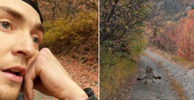 Los seis angustiosos minutos de un corredor de Utah perseguido por un puma