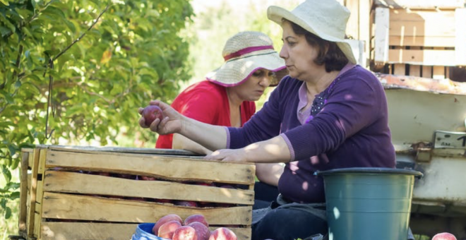 Otras miradas - Los lastres que todavía cargan las emprendedoras rurales