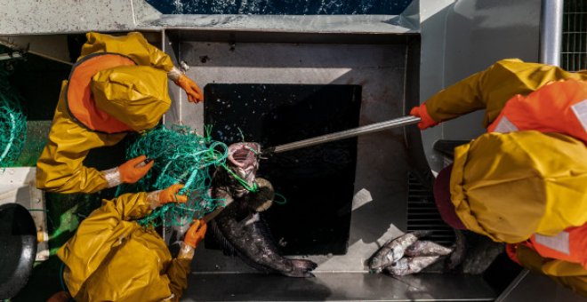 China's global fishing dominance