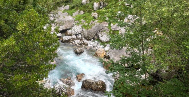 Detenido el dueño de la empresa de aventura por la muerte este verano de la menor que estaba de campamento en Cantabria