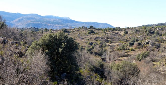 La Justicia tumba la construcción de un complejo turístico en una zona protegida de Burgohondo