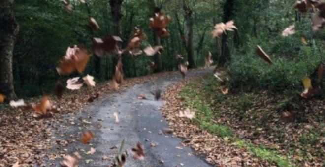 Rutas para hacer este otoño en Cantabria