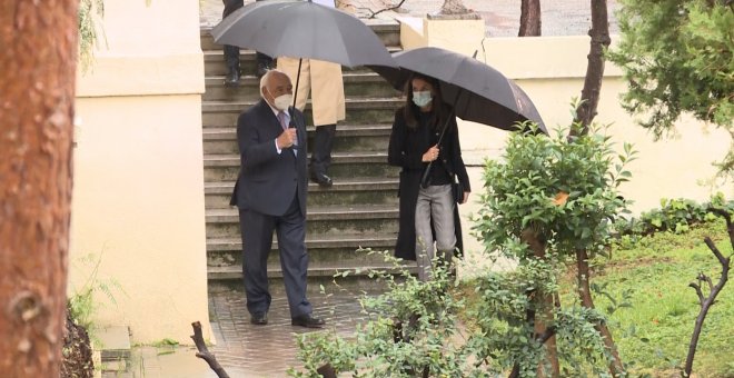 La reina Letizia luce su look más "gris" de la temporada