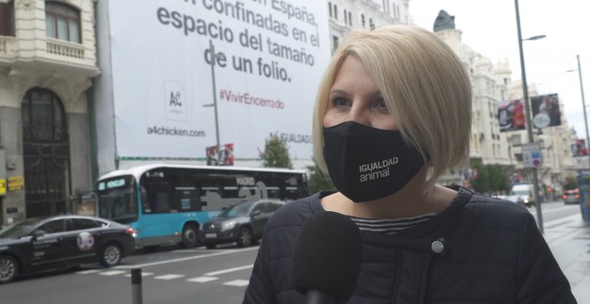 Igualdad Animal inicia una campaña contra las gallinas enjauladas