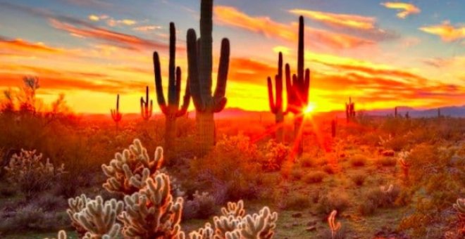 Descubriendo Baja California, el último paraíso