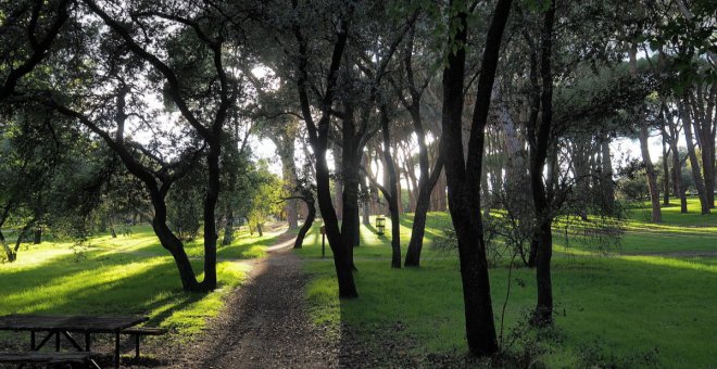 Excursión por los mejores rincones de la Casa de Campo en Madrid