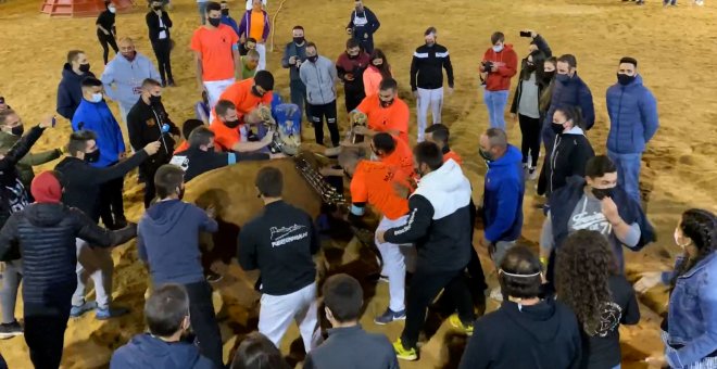 AnimaNaturalis denuncia los toros embolados de Vila-real