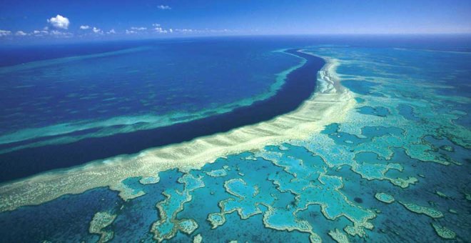 La Unesco decide no declarar la Gran Barrera de Coral australiana "en peligro"