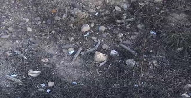 Hallado el cadáver de una joven en la localidad murciana de Javalí Viejo